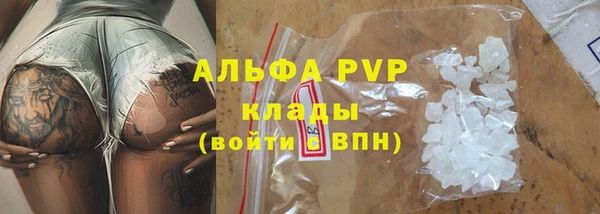 сатива Куйбышев