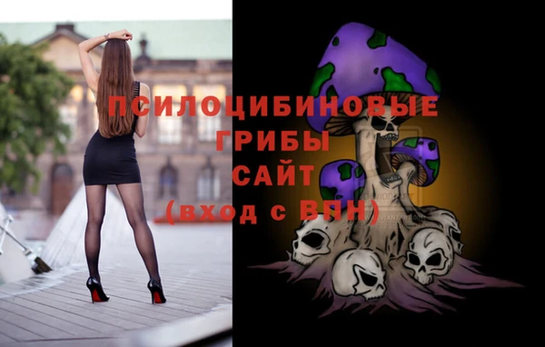 сатива Куйбышев
