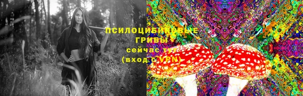 амф Нягань