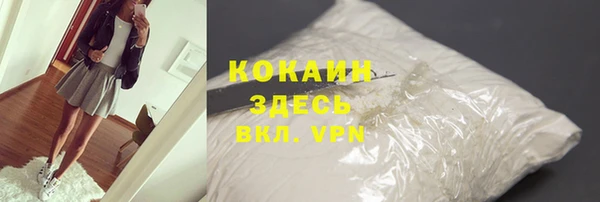 сатива Куйбышев