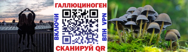 где продают наркотики Ростов-на-Дону Псилоцибиновые грибы MAGIC MUSHROOMS