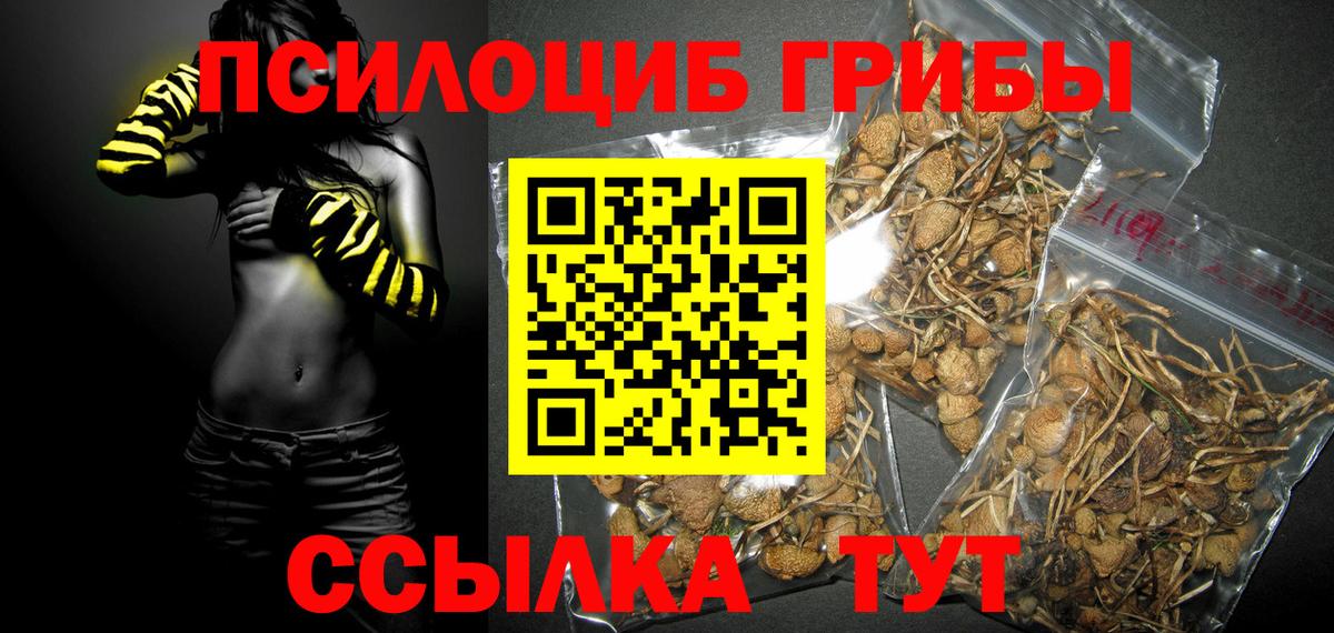 Псилоцибиновые грибы GOLDEN TEACHER Ростов-на-Дону