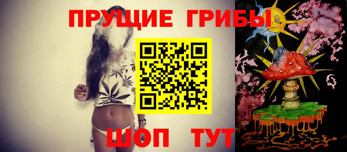 Ростов-на-Дону  Псилоцибиновые грибы Psilocybine cubensis  Вход с VPN  Галлюциногенные грибы прущие грибы 