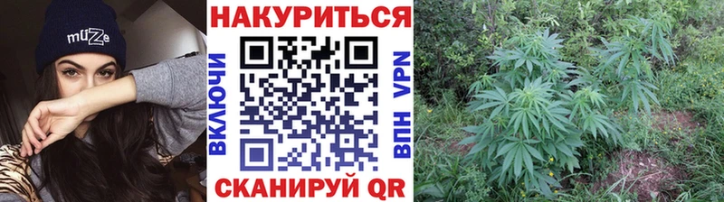 хочу наркоту  Ростов-на-Дону  Марихуана SATIVA & INDICA 